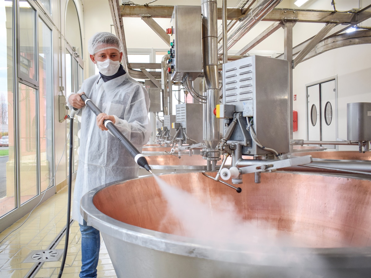 Steam Cleaners from west country